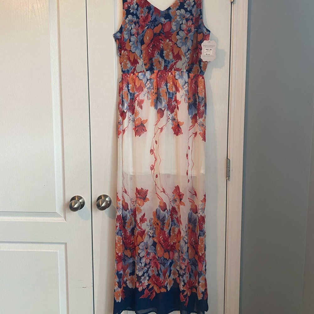 NWT Entourage Maxi Floral Dress